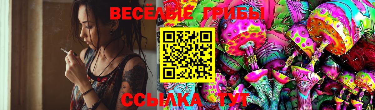 Псилоцибиновые грибы MAGIC MUSHROOMS  Вход с VPN  где можно купить наркотик  Ростов-на-Дону 