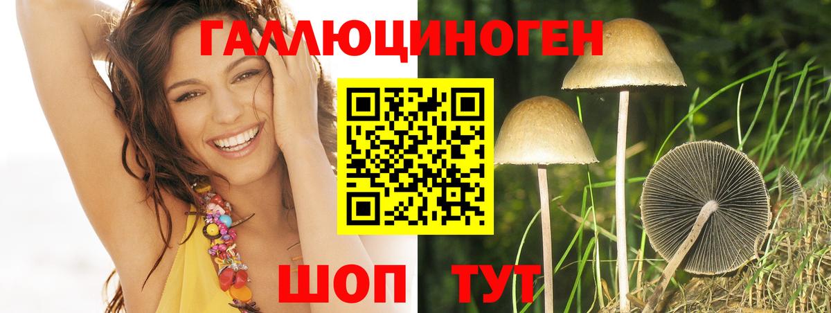 Галлюциногенные грибы Psilocybe Ростов-на-Дону